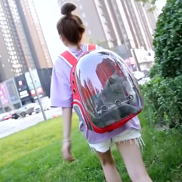 Pet cat and dog bag transparent skylight travel bag portable travel space capsule cat supplies breathable large capacity backpack